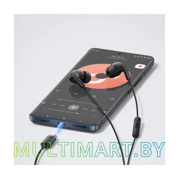 Наушники Xiaomi Type-C Earphones M2413E1 (черный, международная версия) картинка 6